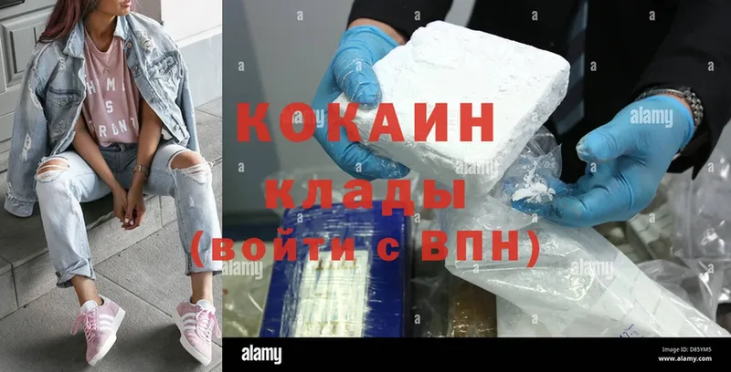 Cocaine Fish Scale  где купить наркотик  Андреаполь 